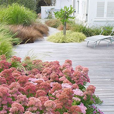 jardin ambiance chic